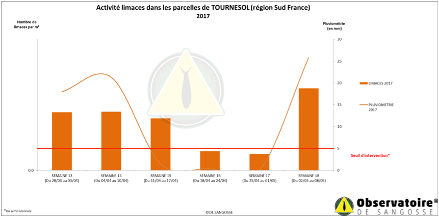 Activité limaces en culture tournesol région Sud en 2017
