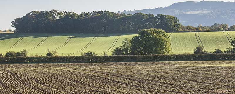 piege à limaces activité du 31 octobre 2017