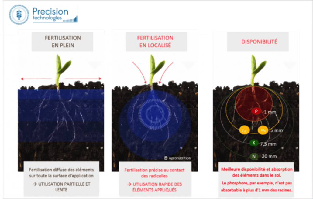 Appliquer phosphore au semis sur colza