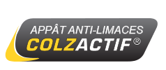 LOGO-COLZACTIF