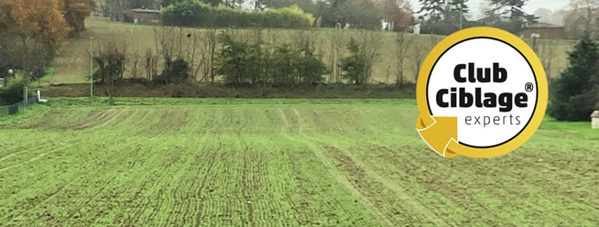 Fin des piégeages et toujours des limaces