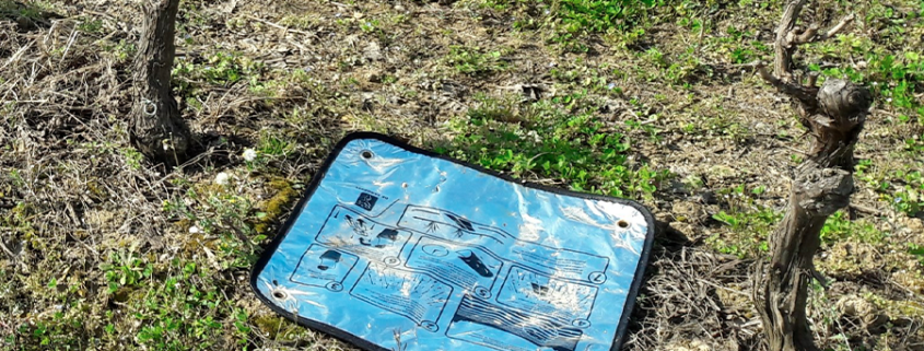 Ouverture de l'OBSERVATOIRE Vigne 2022